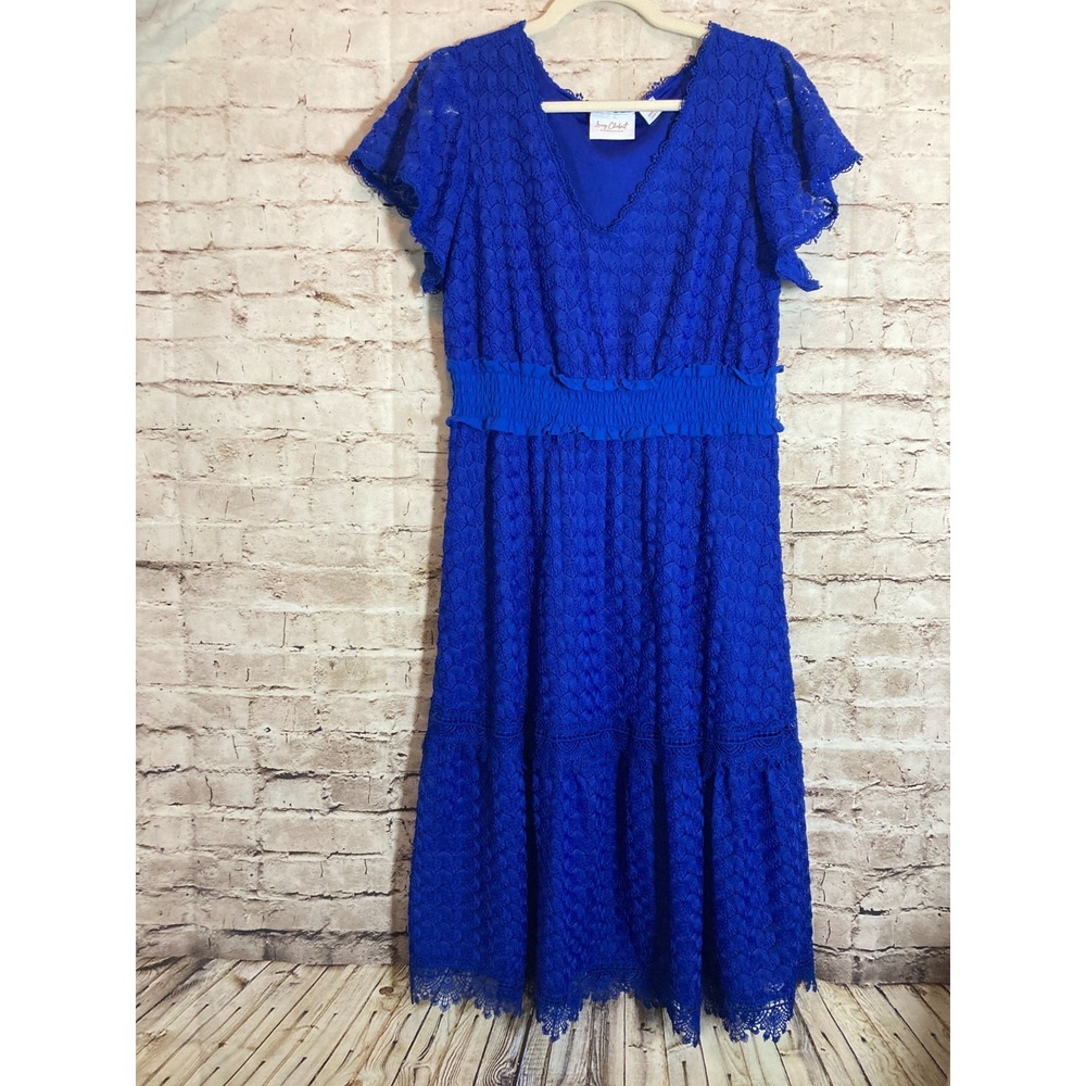 Lacey Chabert Collection Babydoll Dress Petite Large Cobalt Lace Midi Romantic